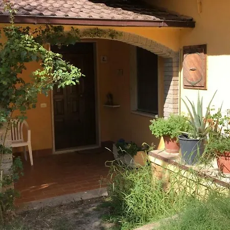 Perilli Baschi